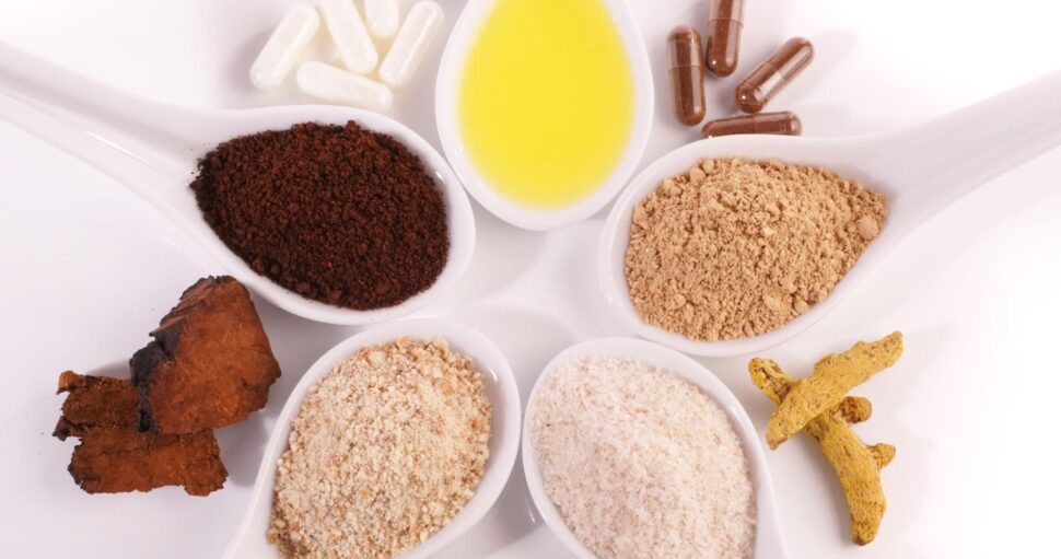 Probiotics Explained: Do You Really Need Them